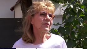 VIDEO Birocrația dă liber la safari cu urși. Excursiile de acest tip au devenit foarte accesate de turiștii străini